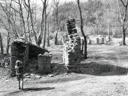 Rhiwgreiddyn slate quarry