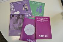 Welsh Women's Aid Reports