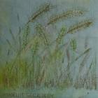 Meadow Barley, Brenda Rees