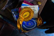 Rosettes found in Llawrcwmbach cottage.