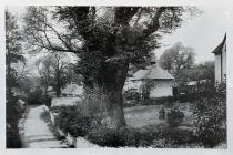 Cottages on Merthyr Dyfan Lane, Barry.