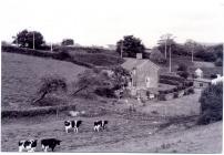 Darran Farm, Cowbridge 2000 