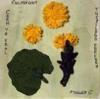 Coltsfoot by Maggie Cornelius