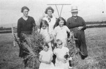 Harvest Day, Pembrokeshire