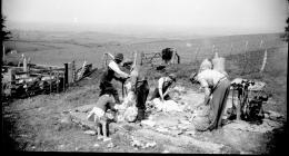 Shearing, views to north east, Pantyrhuad, St....