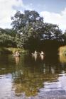 Cenarth - Coracles on the River Teifi, 1962