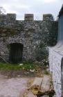 Cowbridge Town Wall, by the Butts 1964 