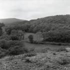 A distant picture of the Dyfi Enduro cycle race...