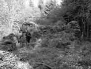 The ruined farmhouse at Blaen Glesyrch