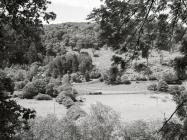 Looking across Corris valley