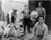 Newhouse farm, Llanblethian, nr Cowbridge 1964 