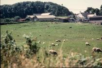 Pant y Llwyd farm, near Cowbridge 