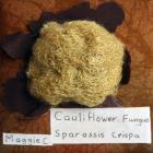 Cauliflower Fungus by Maggie Cornelius