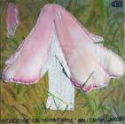 Ballerina Waxcap by Susan Davies