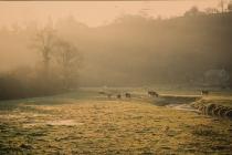 Kennel Cottage, Llanblethian, nr Cowbrdge 1973  