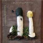 Common (Dog) Stinkhorn by Elizabeth Hughes