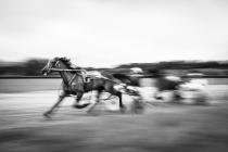 “Harness Racing”, Cilmery – June 2018