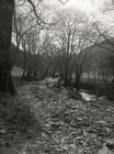 Following the footpath up Blaen-y-Cwm, Aberangell