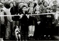 Official Opening of Cambrian Bridge, Newtown, 8...