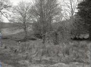 Some old farms on the lower slopes of Tarren...