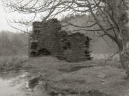 Some old farms on the lower slopes of Tarren...