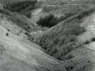 Views  from above Ceinws Bach farm of Ceinws  ...