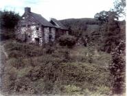 Drainllwydion Pantperthog 1950s