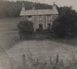 Pantperthog farm 1950s