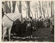 The hunt on Stalling Down, nr Cowbridge 1952 