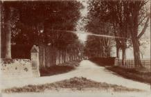 The Avenue, Penllyn, nr Cowbridge ca 1910