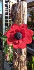 Poppy for Remembrance Day, 2020