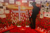 Remembering WWI: Honouring the memory of the 69...