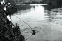 Llanbadoc sheep dipping in River Usk, early 1900