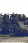 House in Llangybi, c1900