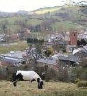 St Myllin's Church Llanfyllin Montgomeryshire