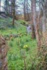 Two Holy Wells in Carmarthenshire and...