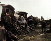 Gypsy Travellers camped by Llanbadoc Church...