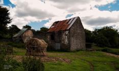 Images of Blaenau Gwent, BG REACH project 2021