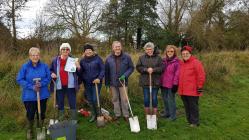 Llanelwy WI planting trees