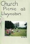 Straeon St Nicholas, Trefaldwyn - picnic...