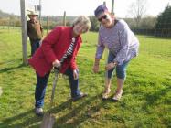 Lesley and Diane, Powys Brecknock Tree...