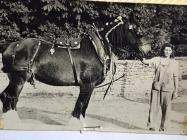 Rina Sidoli with working horse, Women's...