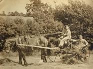 Rina Sidoli during the harvest, Women's...