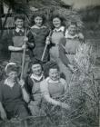 Land Army women baling hay