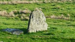 Standing stone in Rhayader area