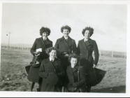 Image of WRNS / Wrens Dale Pembrokeshire