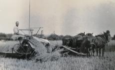 Harvesting, Llanfyllin area