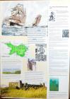 Penally Pembrokeshire 2012 Exhibition