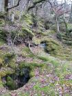 Ty-Llwyd Lead Mine, Ceredigion