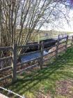 Old swimming pool, river Thaw, Cowbridge 2020